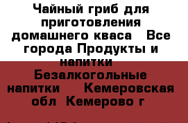 Чайный гриб для приготовления домашнего кваса - Все города Продукты и напитки » Безалкогольные напитки   . Кемеровская обл.,Кемерово г.